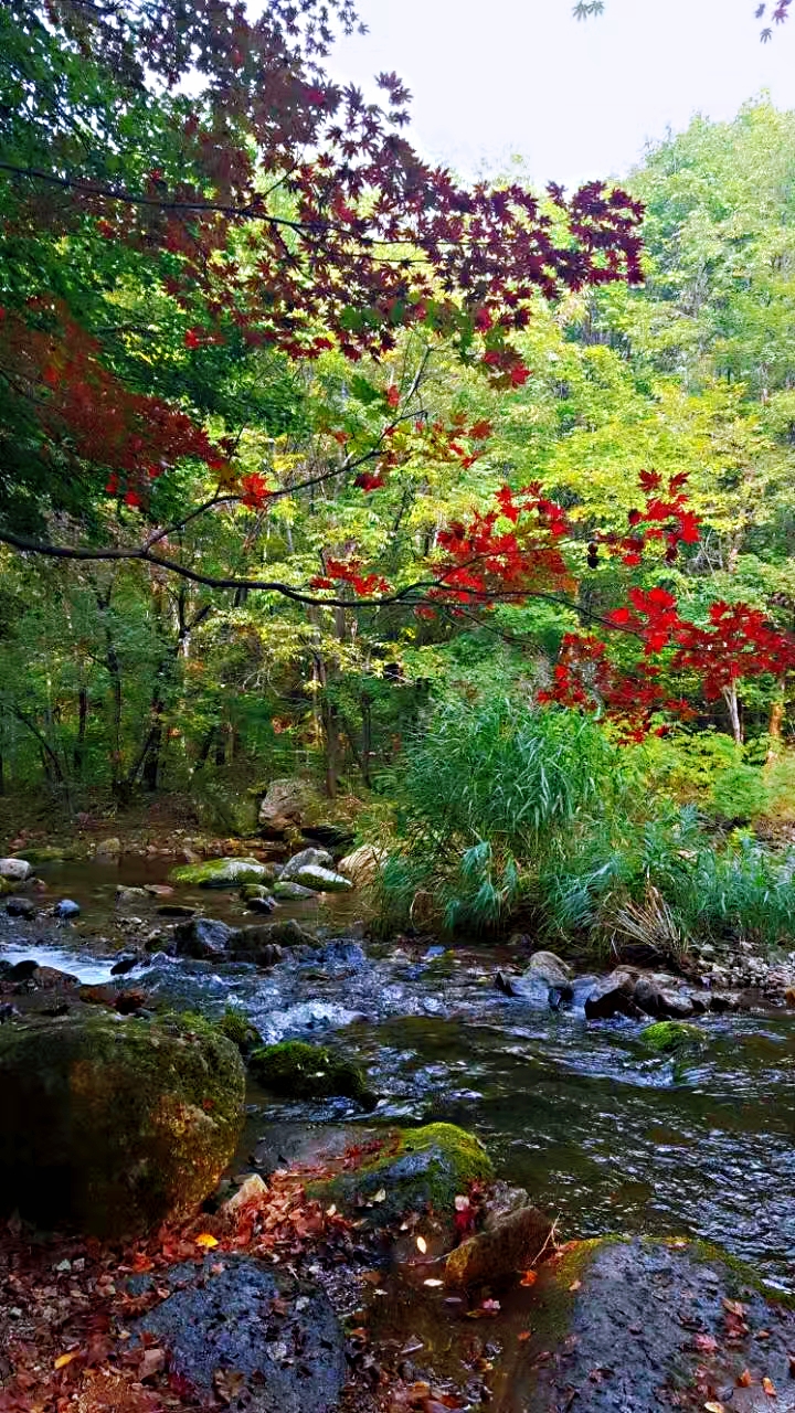 辽宁本溪老边沟风景区秋意渐浓