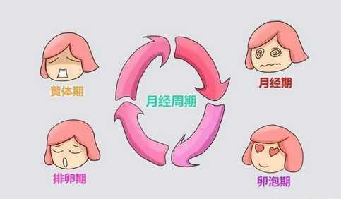 首选!女性排卵期有什么症状"全程放心"-第2张图片-任凯博客