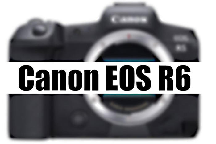 廉價版1dx3?佳能eos r6再曝新參數