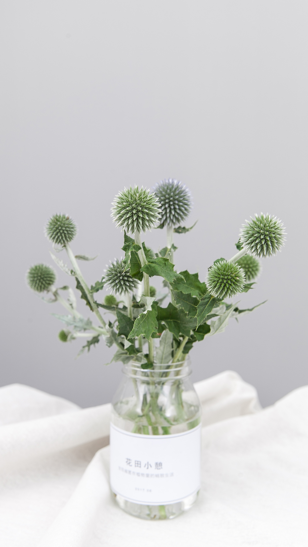 桌面壁纸一一禅意花卉