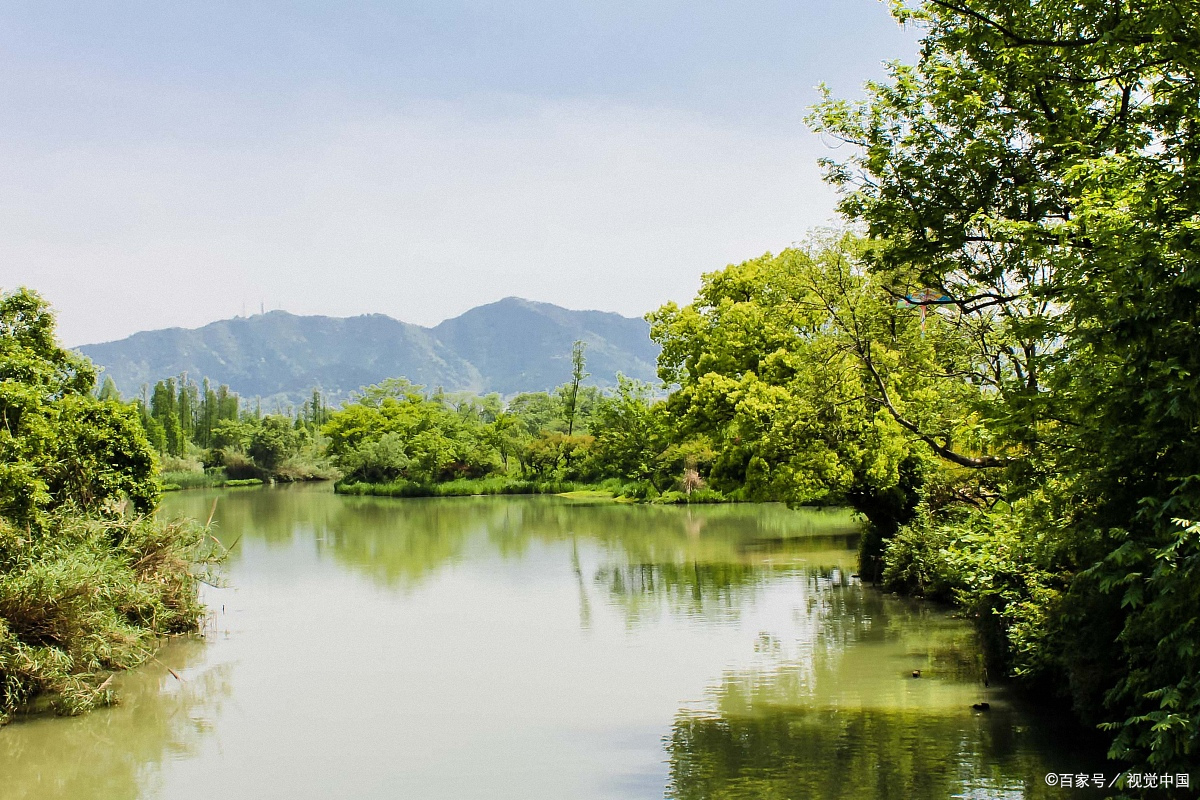 杭州西溪湿地绿堤图片