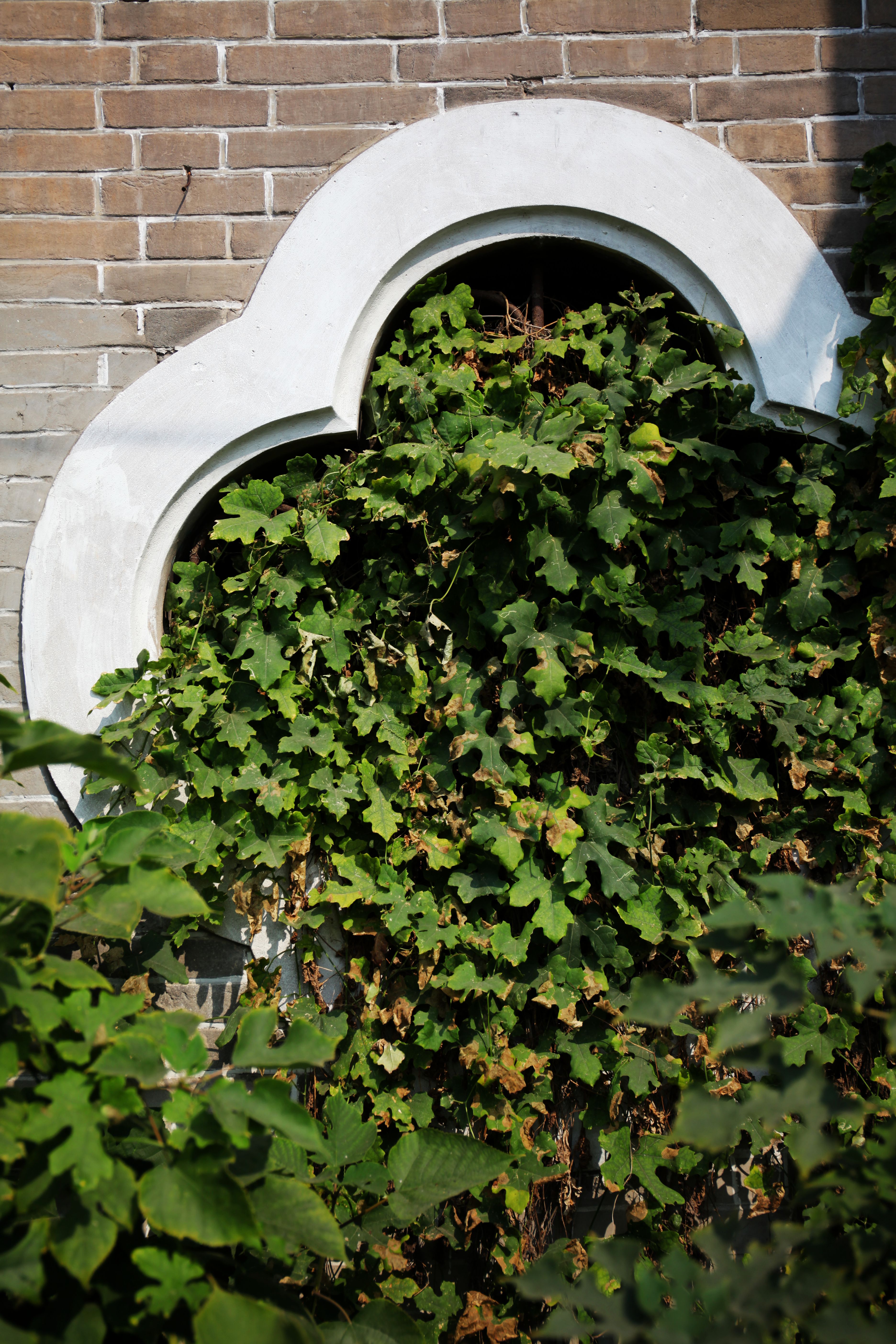 开封东郊羊尾铺有一处神秘破败的建筑—天主教河南总修院