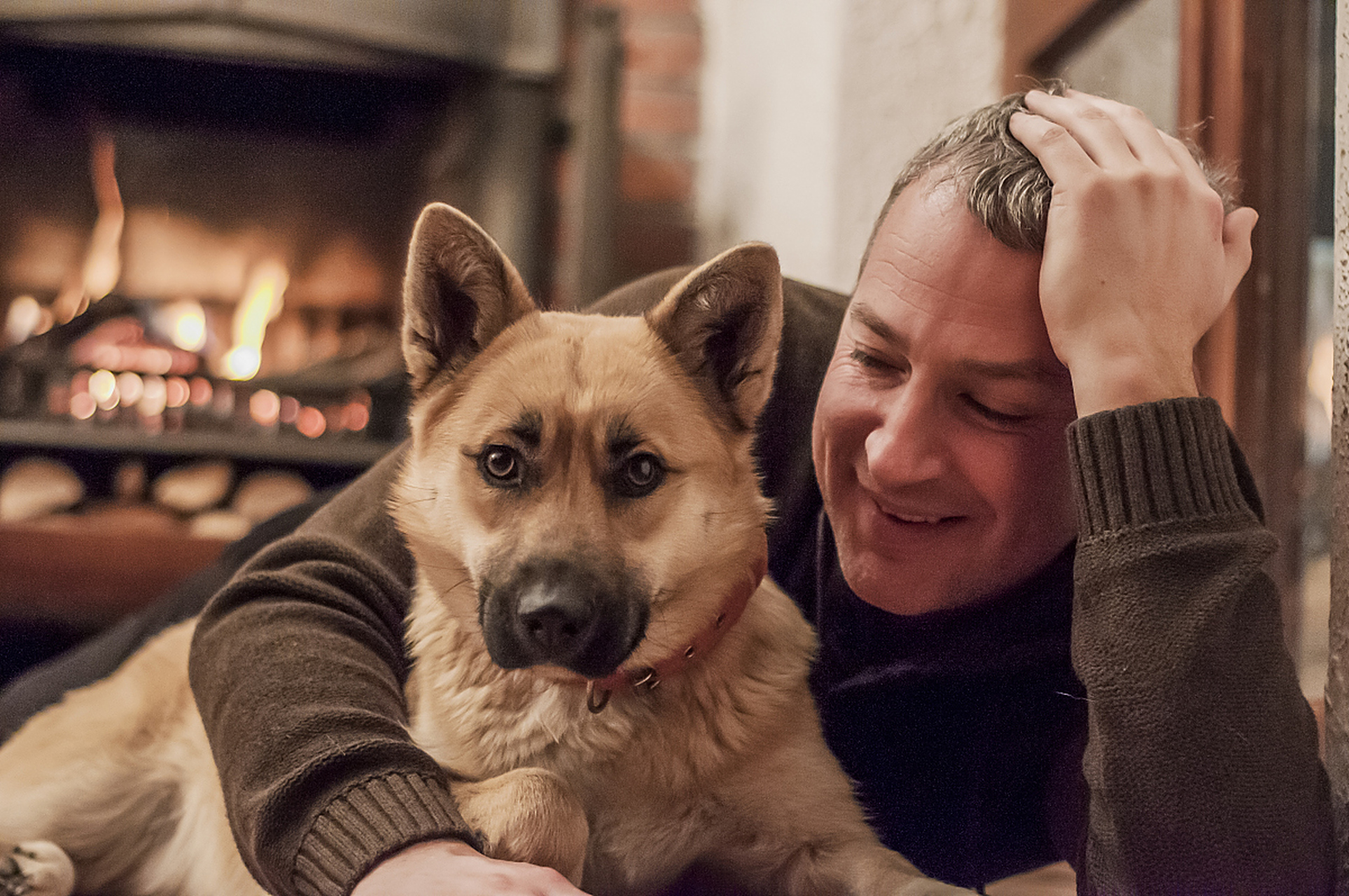 电影解说# 解说# #秋田犬#  《忠犬八公的故事》改编自1925年发生在