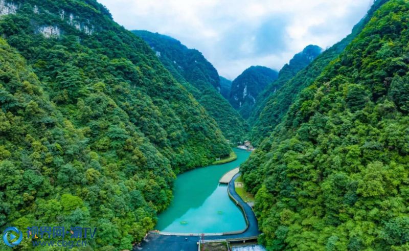 国际森林日:南川三大景区免门票