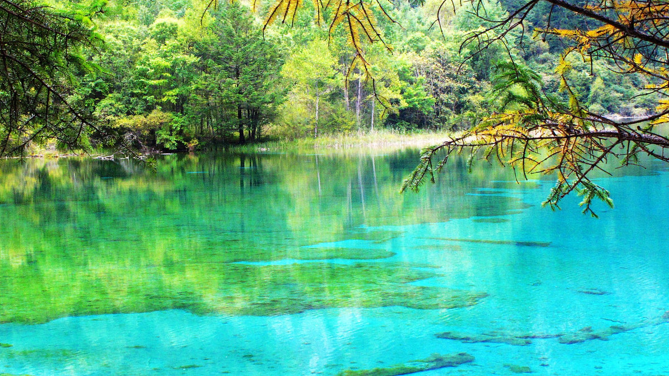 九寨沟,这个头衔众多的地方,是一个充满神奇和美丽的世界自然遗产