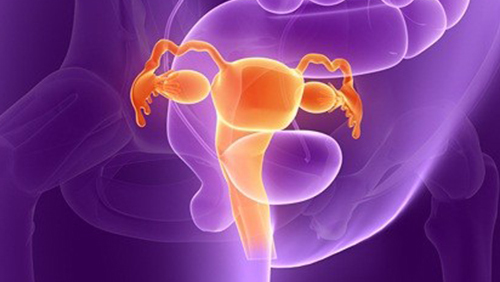 女人经期喝这5种水,补气血,促排毒,子宫光滑健康,人也更年轻