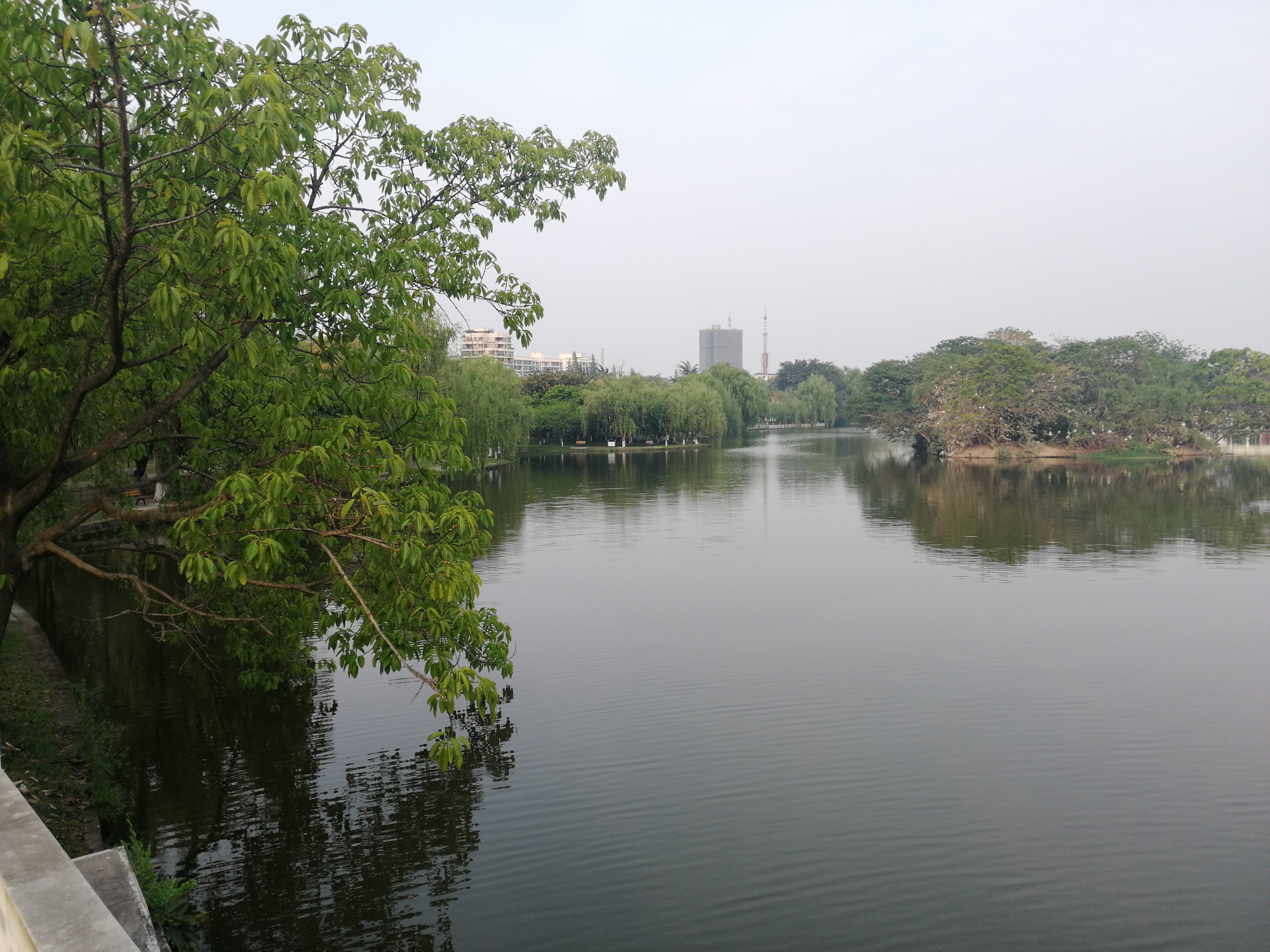 四川广汉市金雁湖公园湿地