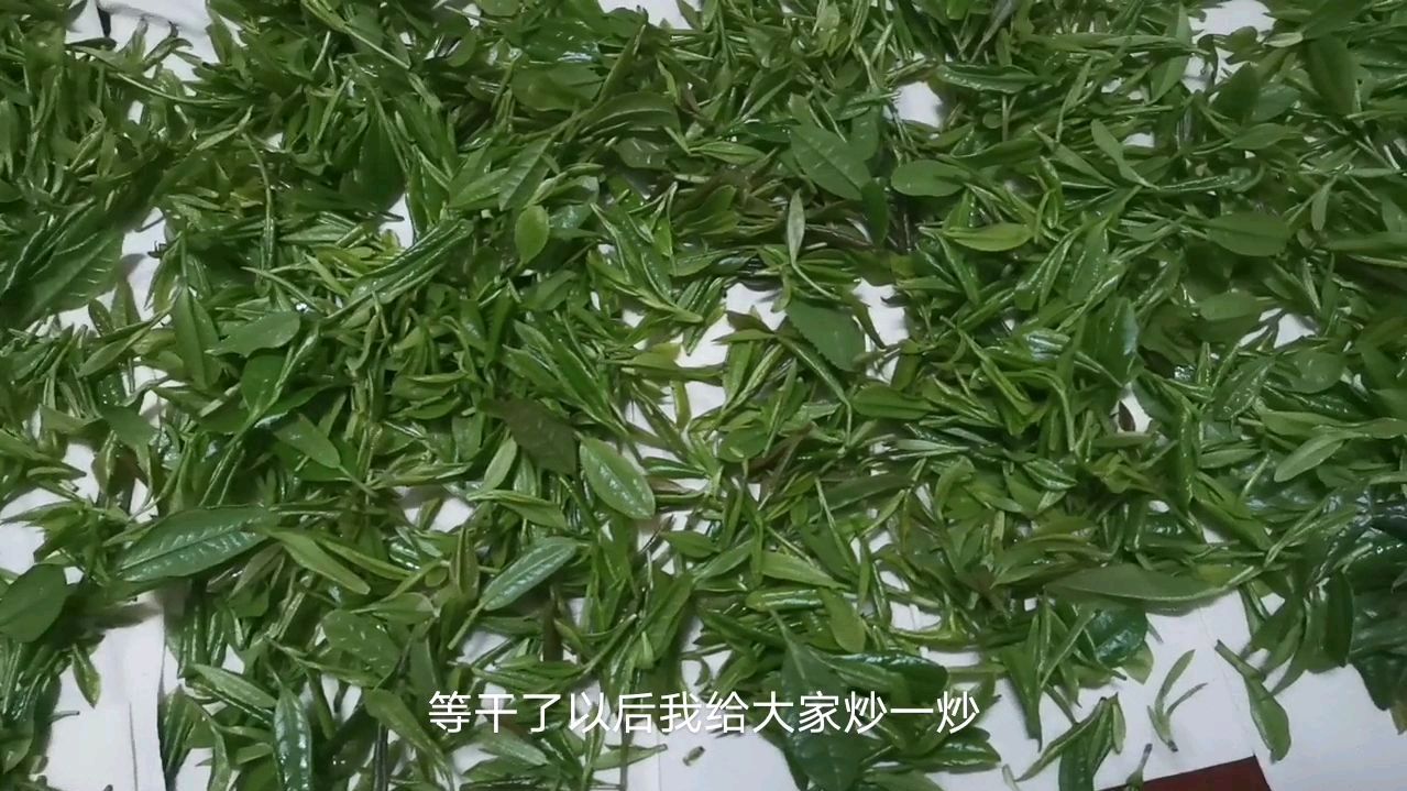儿时的记忆手工炒茶