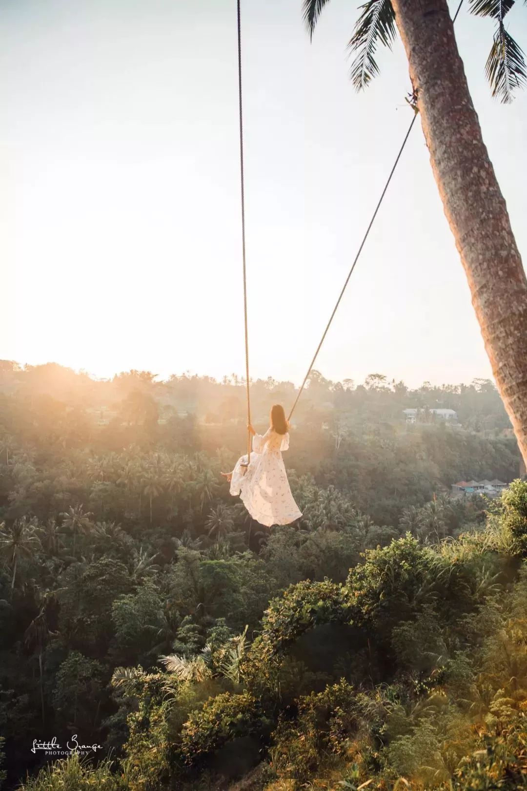 swing,私家秋千不用排队,可以尽情拍照啦