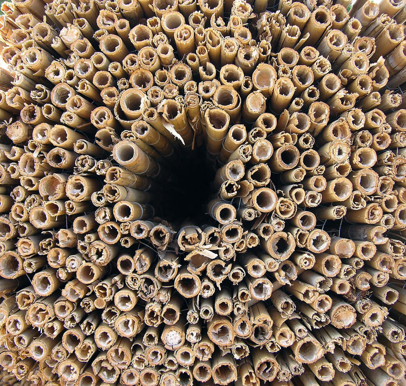 密集恐惧症,又称为人群恐惧症,是一种常见的心理障碍.