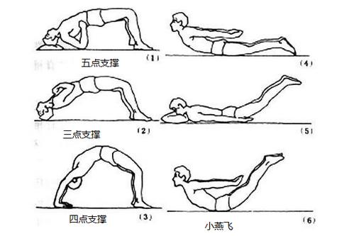 腰疼锻炼方法图解图片