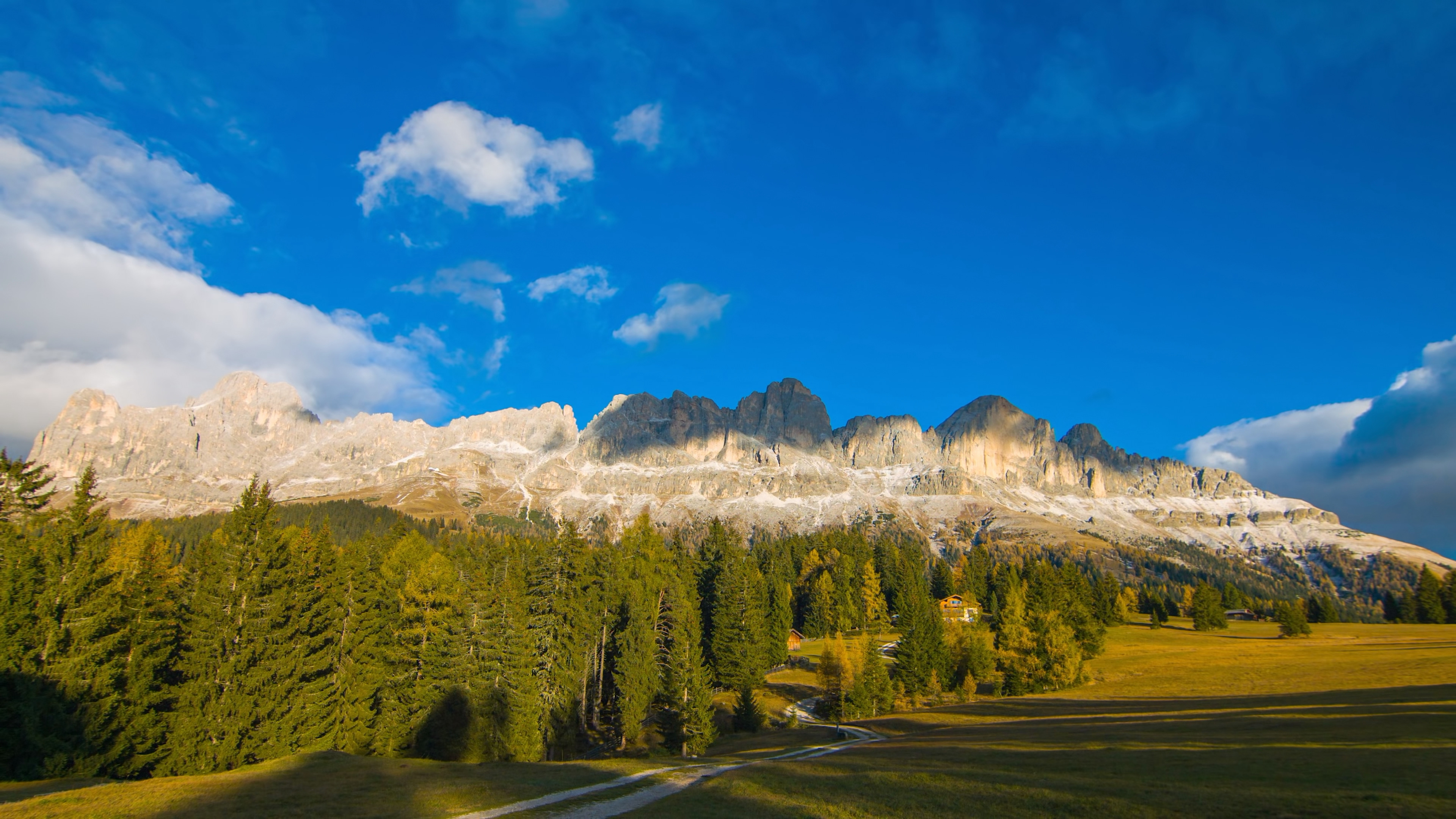 茂盛的树林 转载自百家号作者:看风景看图集