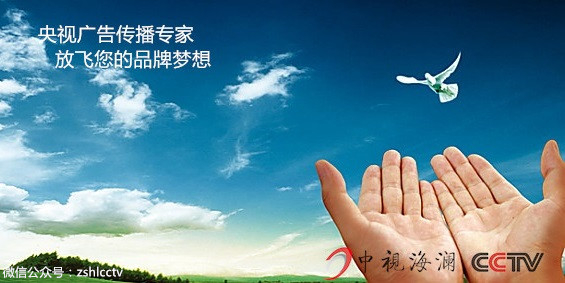 央视广告要做给谁看?针对目标消费者还是面向大众?