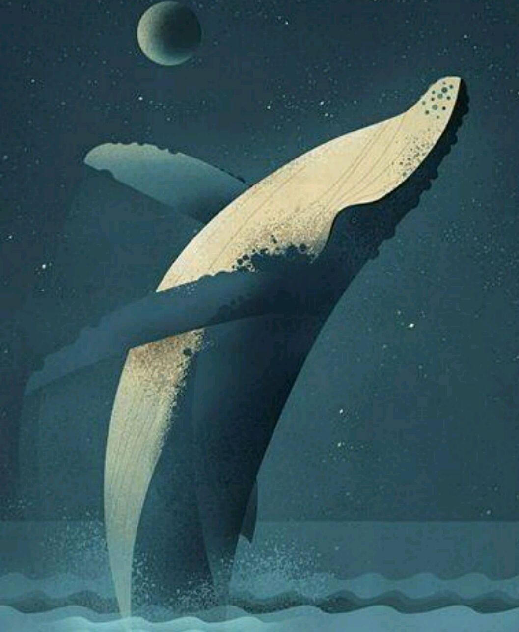 为什么说"一鲸落万物生"