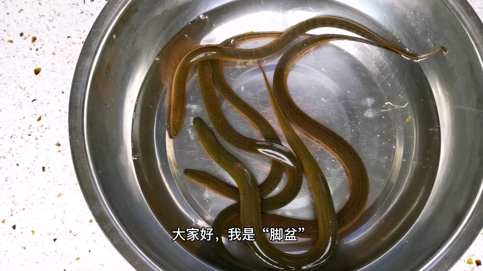 白米粥里面放入它,味道鲜美有营养,更重要的是含丰富的优质蛋白