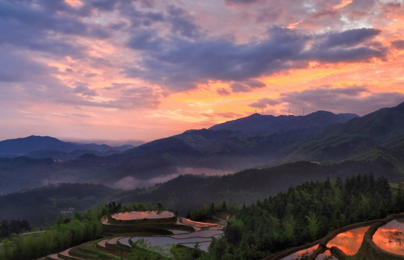 旅游:江西吉安遂川桃源梯田,看万亩梯田赏客家文化