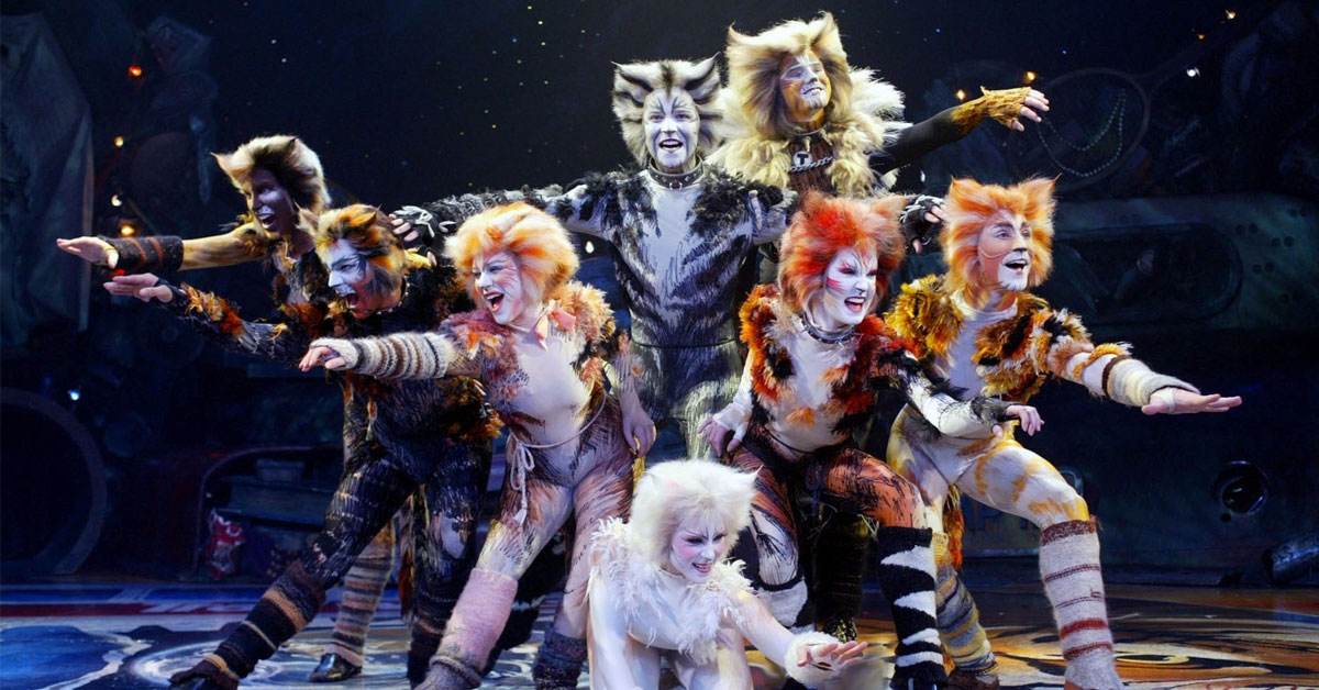 音乐剧《猫》的观后感(初中音乐教学案例分析)