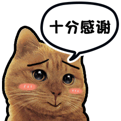 隔离期间的一些小唠叨