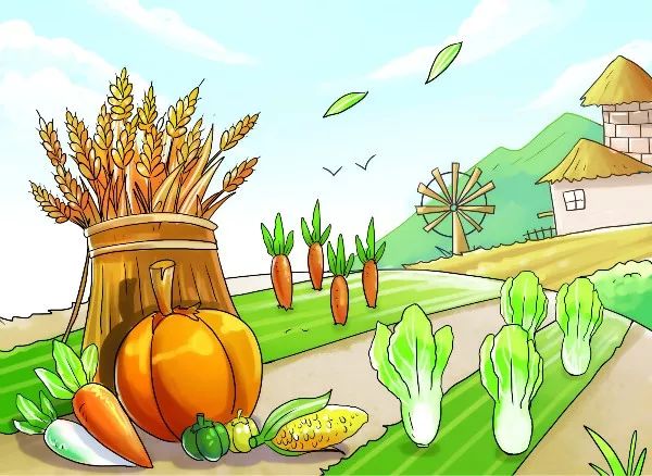 硬核操作!中国丈母娘把别墅花园改成菜地,洋女婿回来…懵了