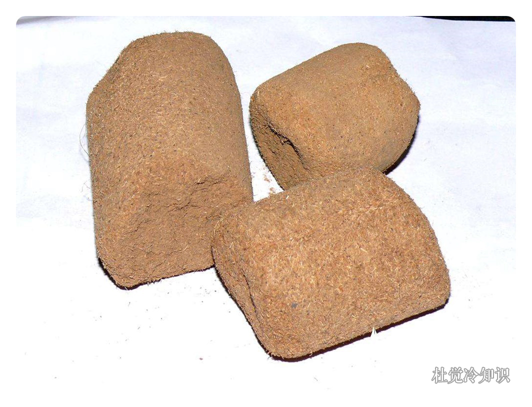 人中黄 baijiahao.baidu.com