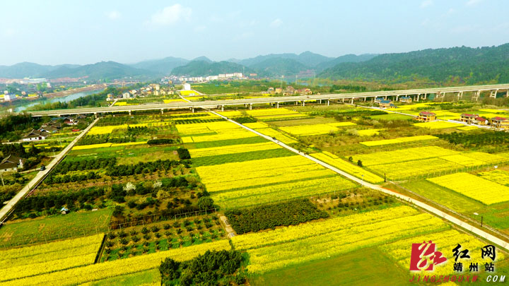 靖州太阳坪乡图片