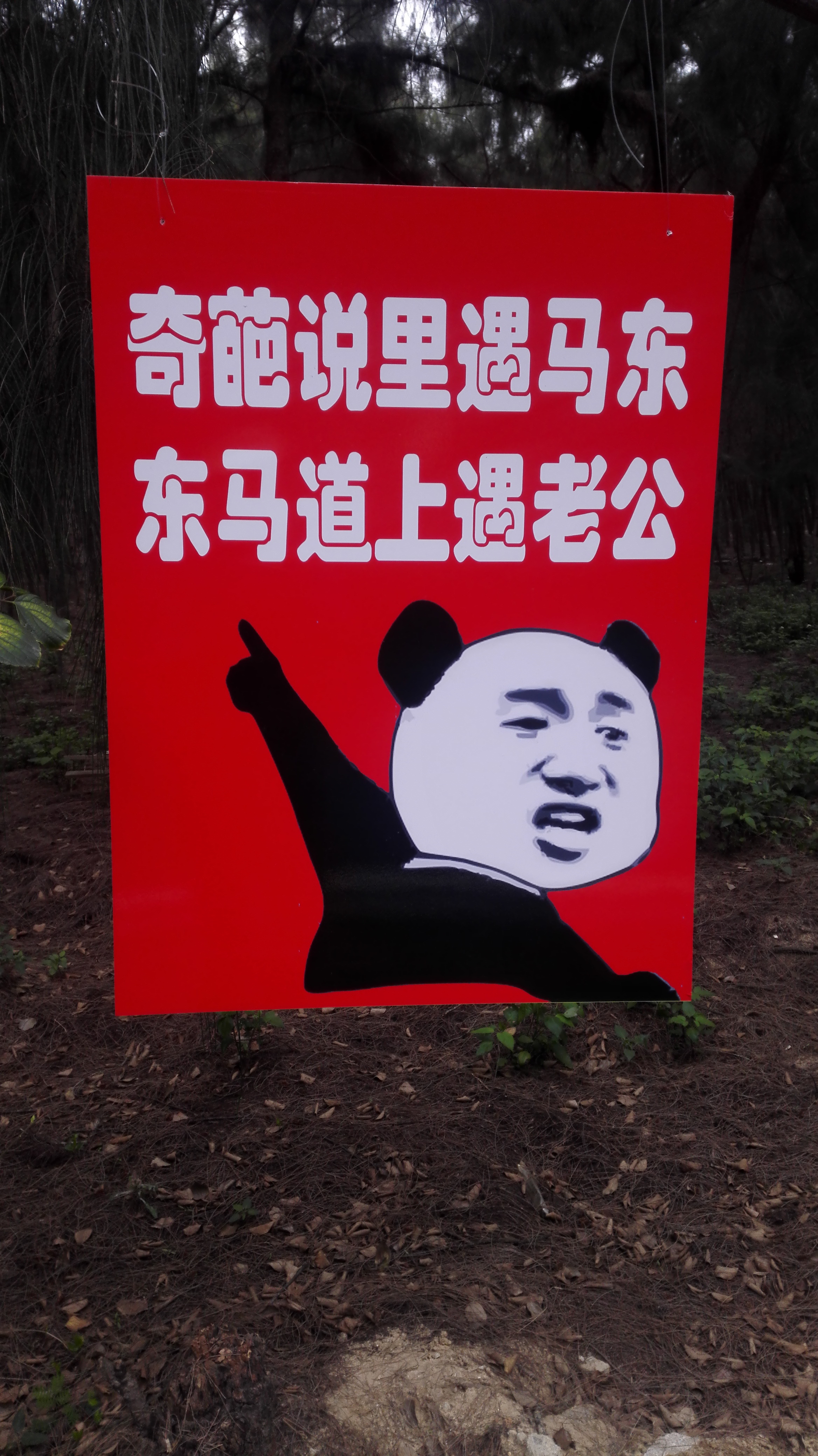 "奇葩说里遇马东",东山岛马拉松的雷人金句,逗你没商量!