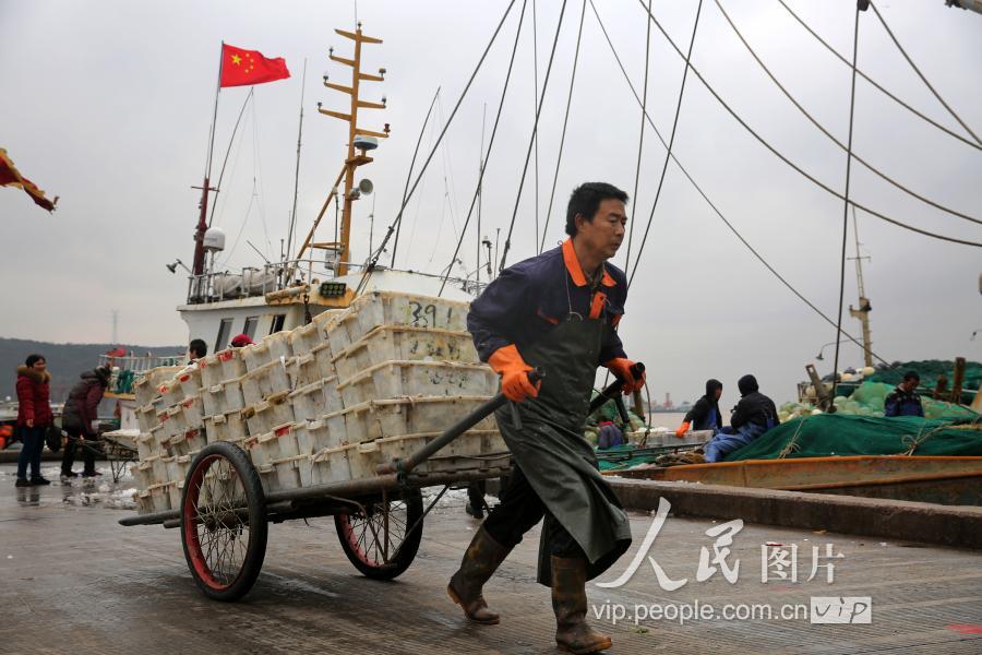 舟山码头装卸鱼工图片