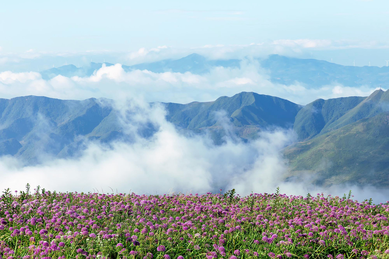 六盘水市钟山区云上花海等奇观的韭菜坪,静待你的到来