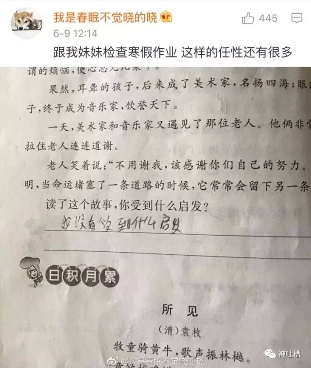 奇葩試卷:老師驚變無家可歸,滿臉汙穢之人?熊孩子太搗蛋了!