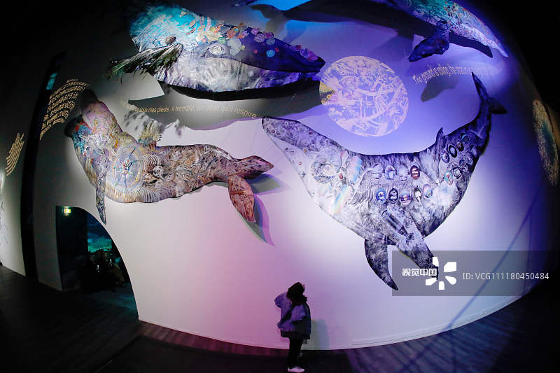 巴黎水族馆举行日本艺术家"鲸鱼之眼"展览 呼吁保护海洋环境