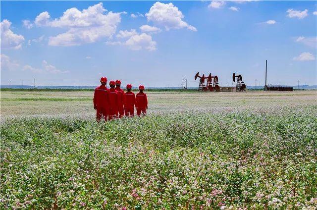 定边采油厂——劲风万里绘长卷