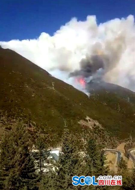 雅江县森林火灾过火面积约1000亩 目前未发生扩散