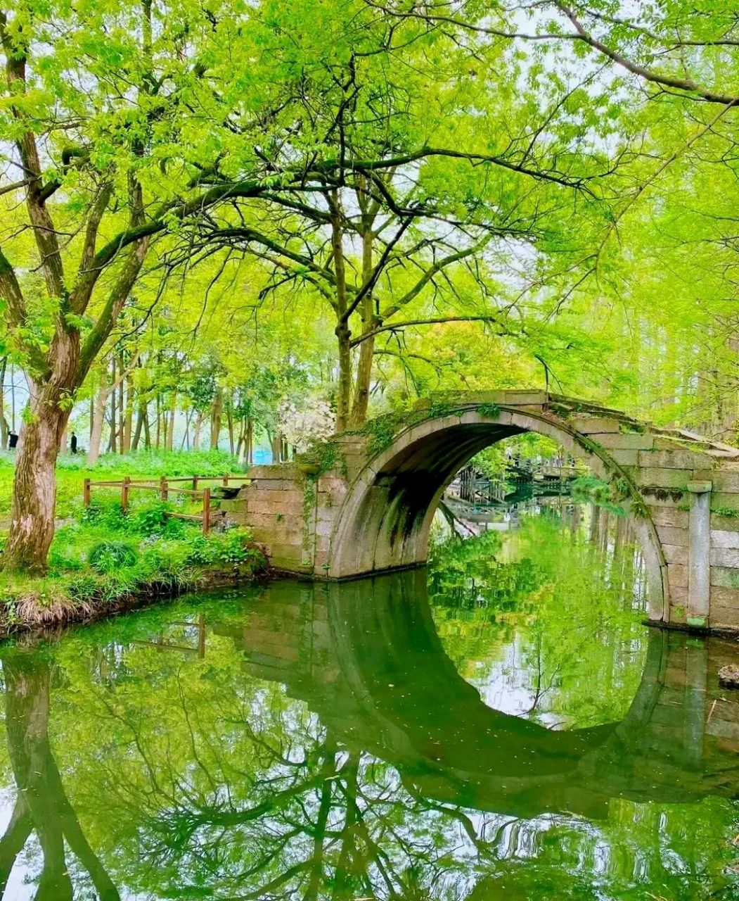 烟柳画桥,风帘翠幕 杭州的树和水特别绿,  西湖美景真是太美了, 如诗