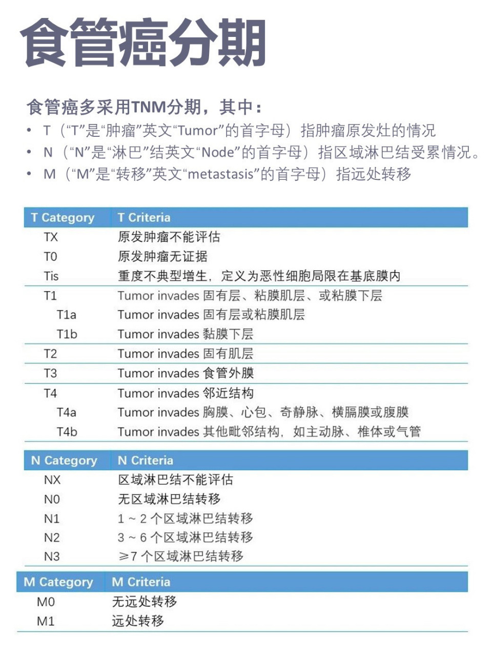 胃镜下食管癌分期图片图片