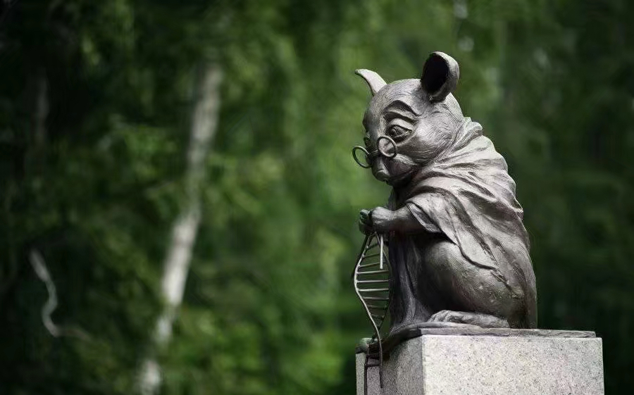 托布鲁克战鼠纪念碑图片