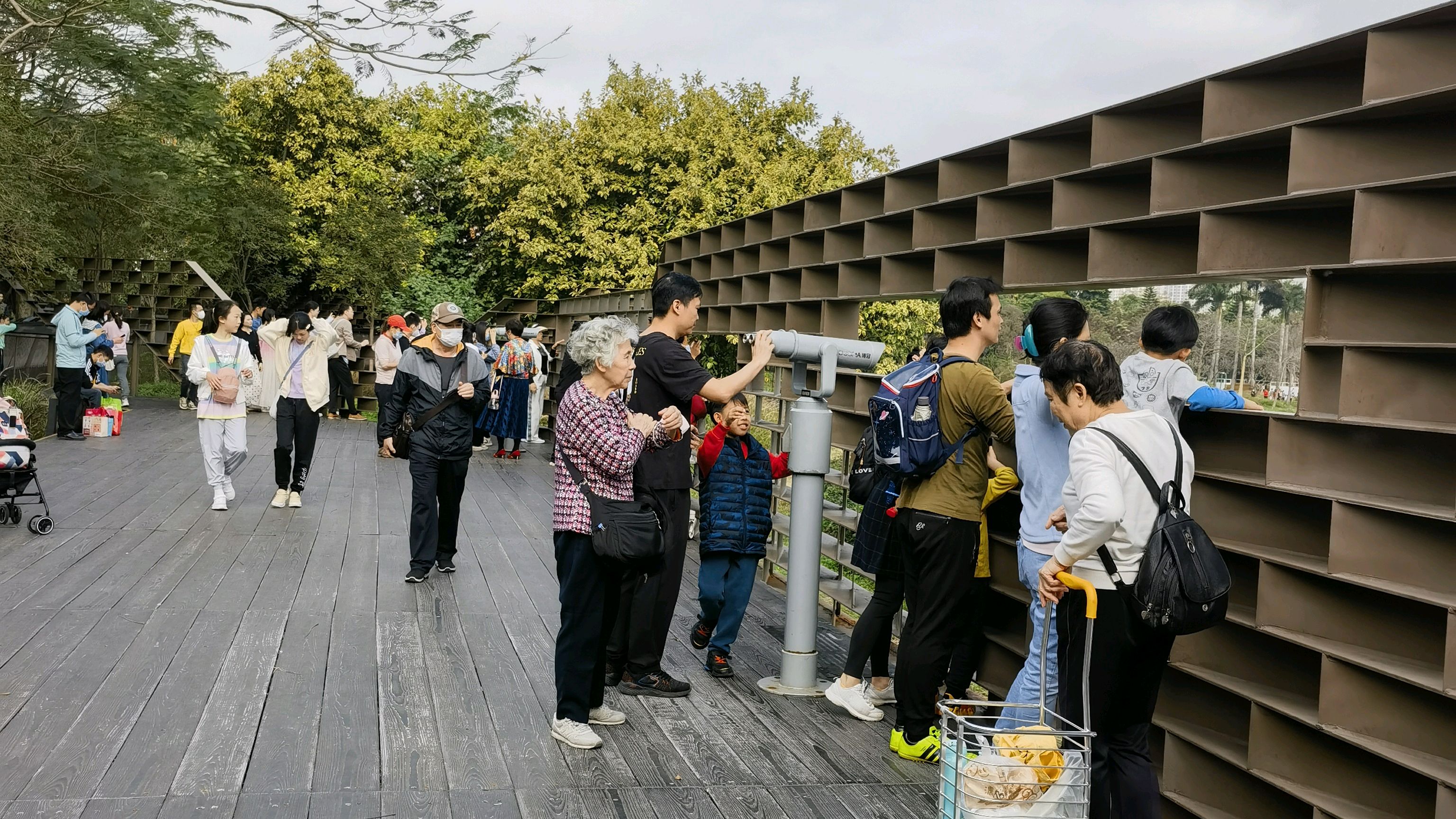 观鸟台上的风景