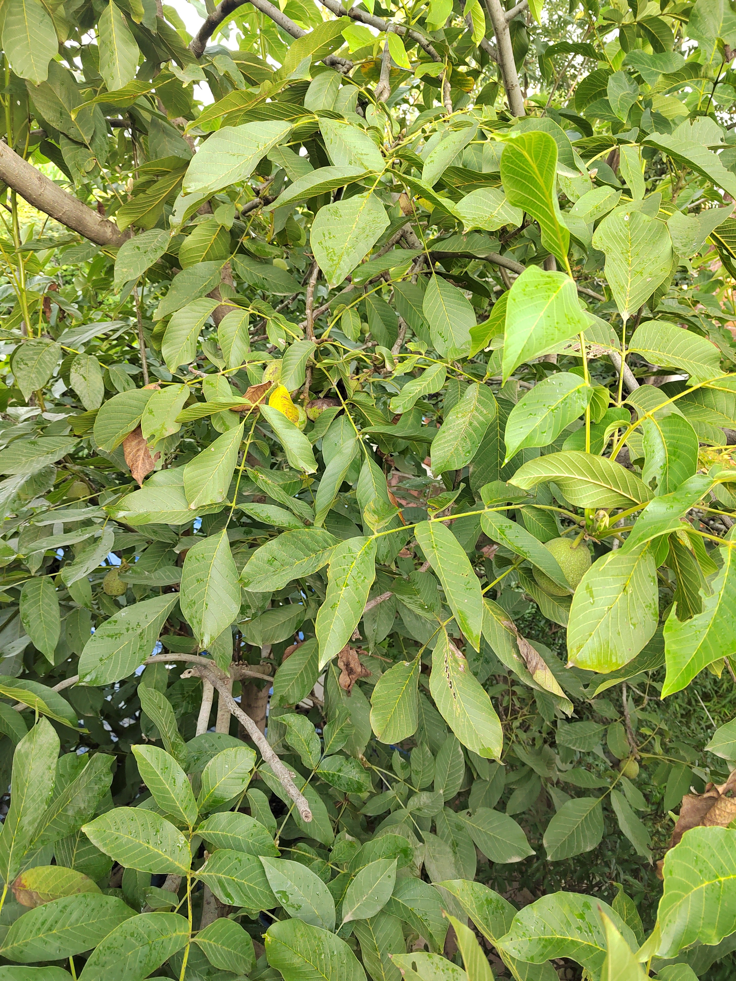 又要起床去上班了,可是感觉每天都有做不完的事情