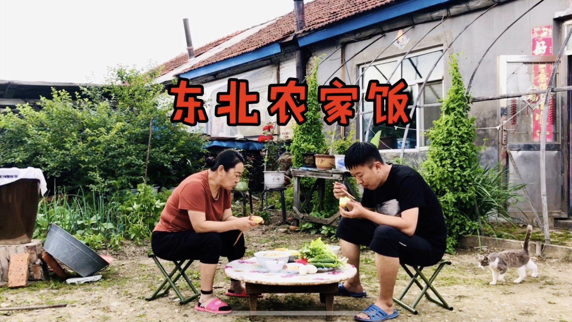 东北真实农村生活,吃的粗粮馒头,现摘的绿色青菜让人羡慕