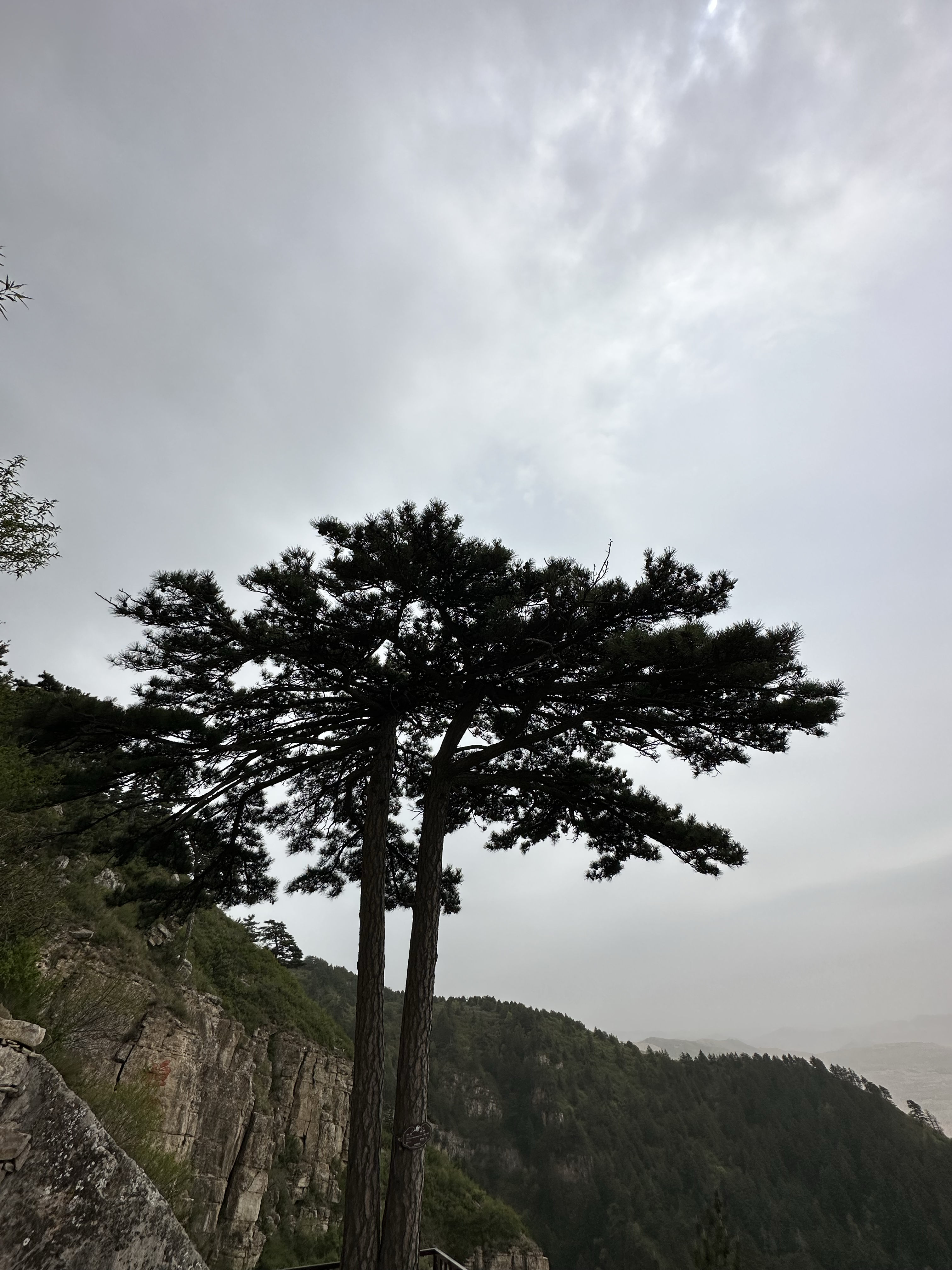 恒山天峰岭图片