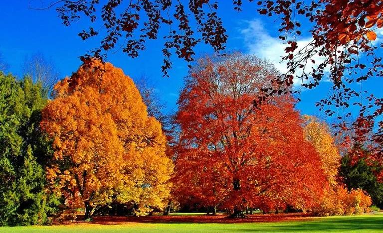 100幅全球最美的红叶