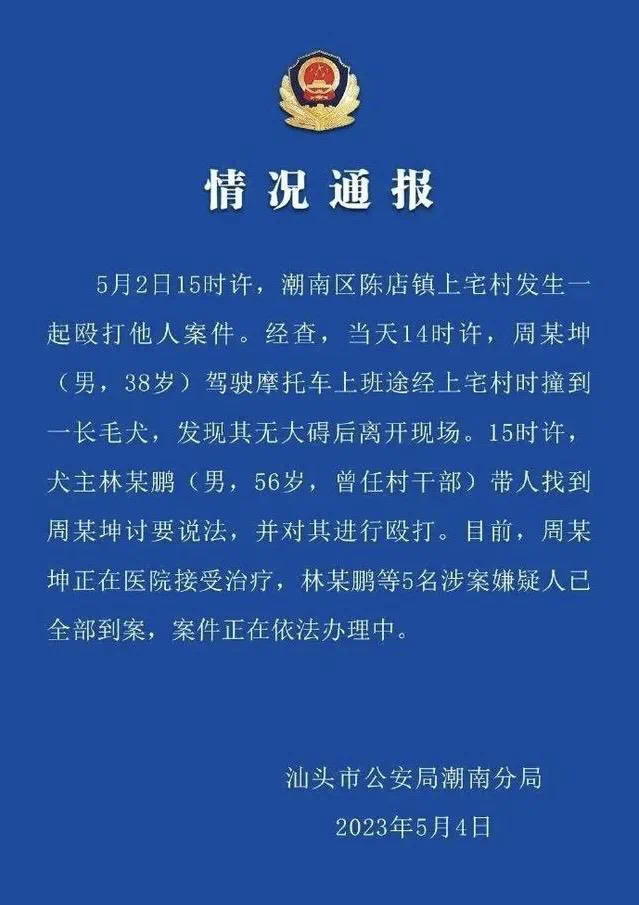 男子誤撞前村長的狗就被毆打下跪,小村長的官威咋就這麼大?