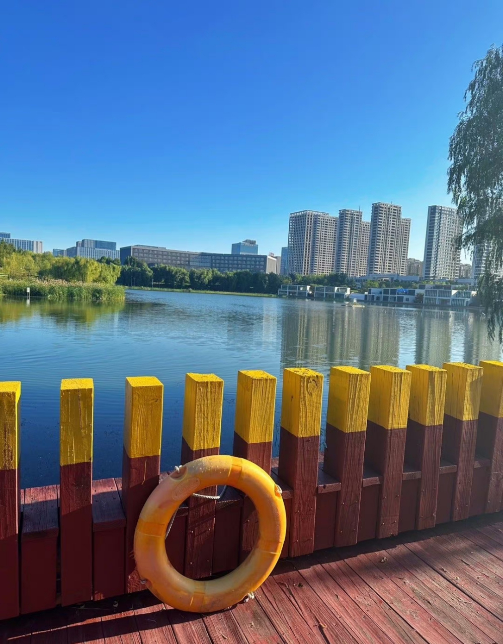 影娱话亚运#今日天气晴朗,秋高气爽,去青岛即墨龙泉湖公园游玩.