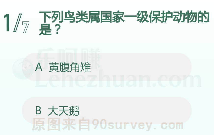 下列鸟类属国家一级保护动物的是？
