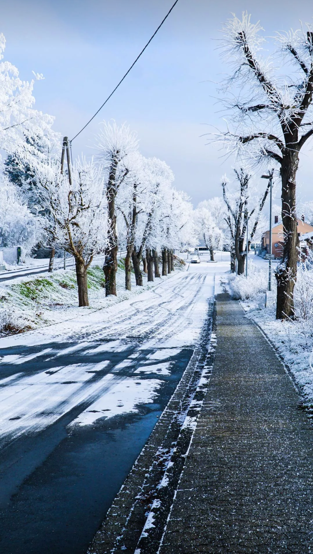 看着心情舒坦的景色
