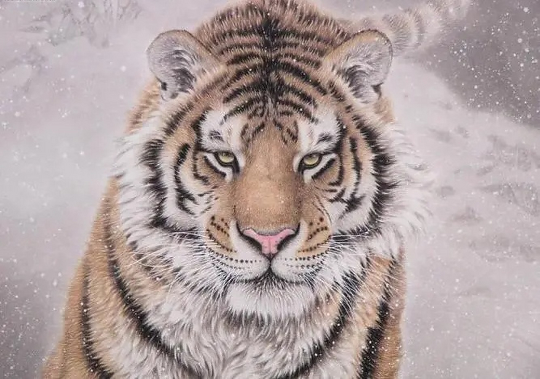 大师作品「工笔画老虎画作」分享