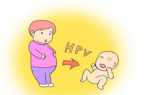 男性会不会感染hpv?必看!