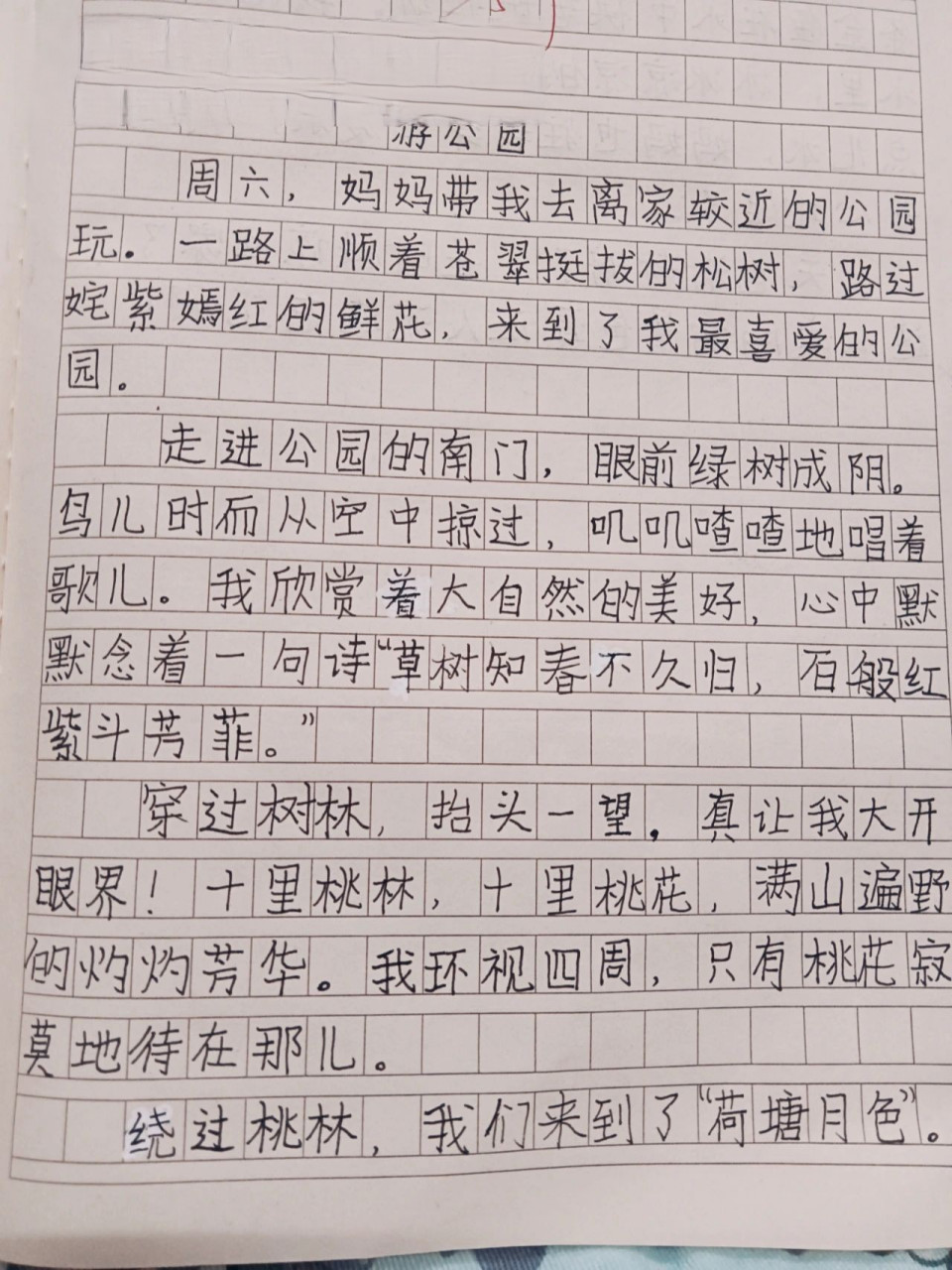 四年级下册作文《游____》