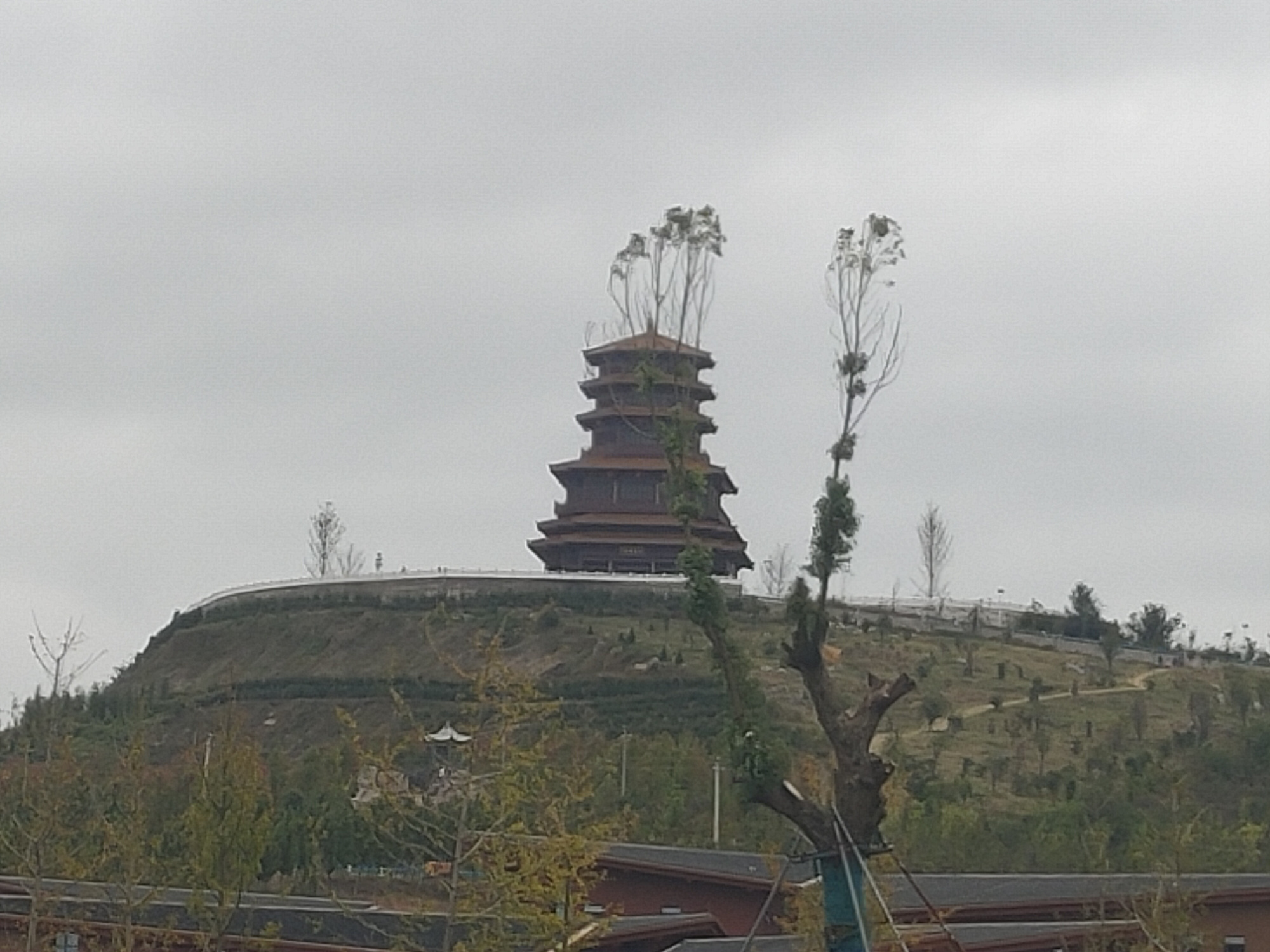 淅川汤山湿地公园欢迎你!