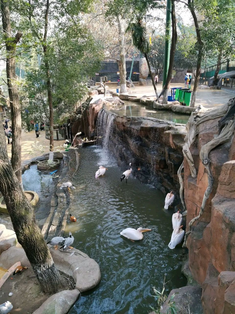 昨天和家人第一次去了武汉东湖飞鸟世界,里面的景观真的很美!