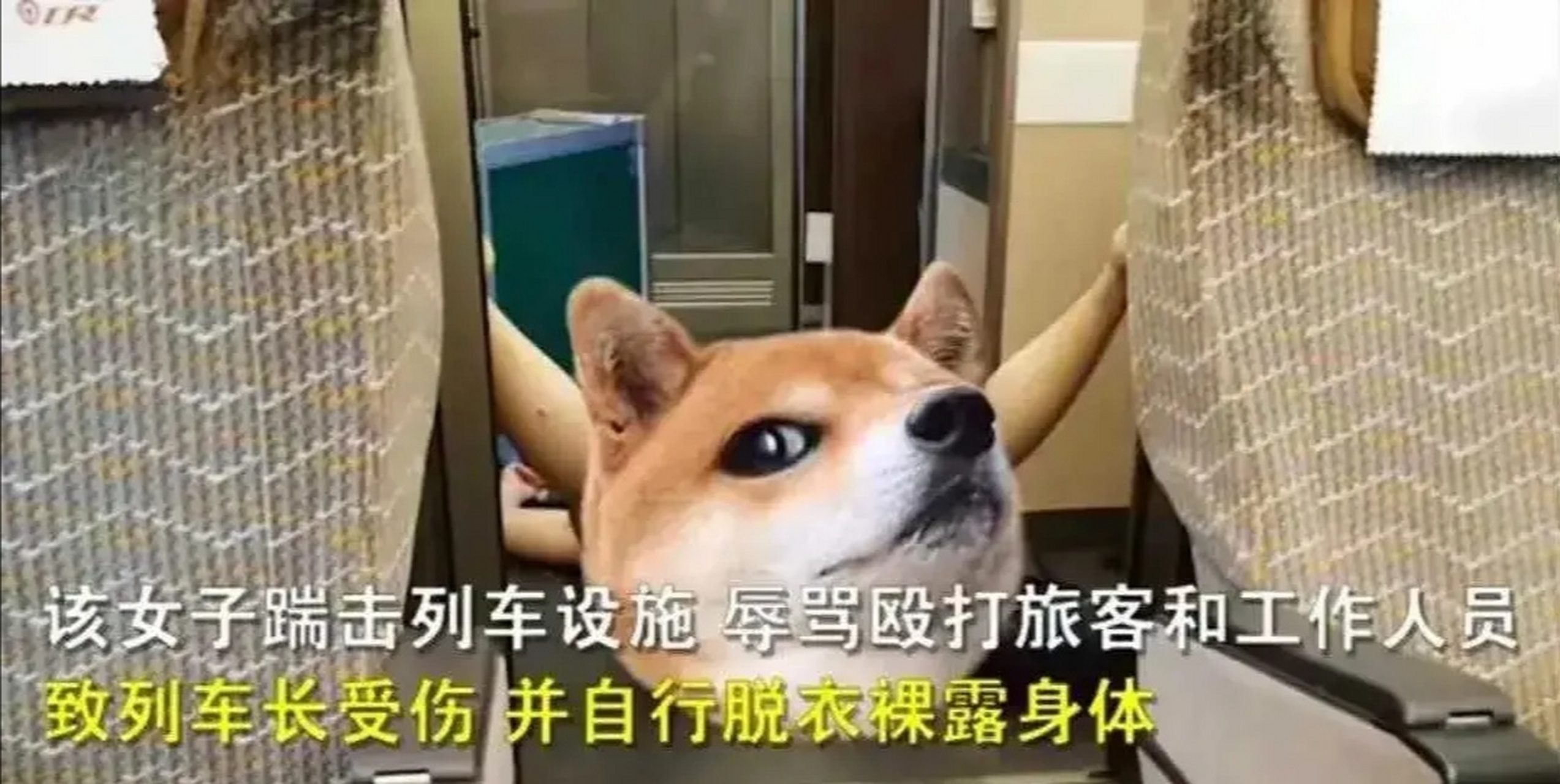 年轻女子"一丝不挂"大闹高铁,当众表演全裸劈叉,网友:辣眼睛!